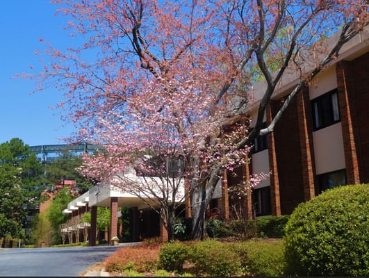 Exterior view of the facility with flowering trees