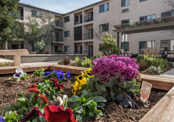 Flowerbed with colorful flowers in the garden of The Terraces of Roseville.