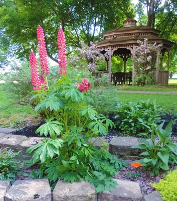 Mount View Assisted Living