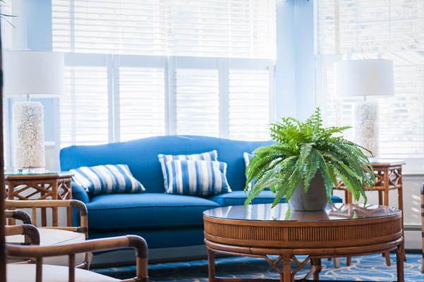 Cozy common area with a blue couch and plants
