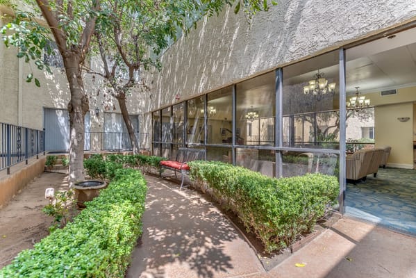 Outdoor common area with greenery and seating