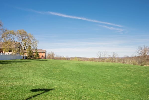 Expansive green outdoor space with trees and buildings