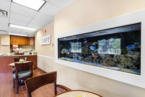 Interior view of a cafe area with an aquarium