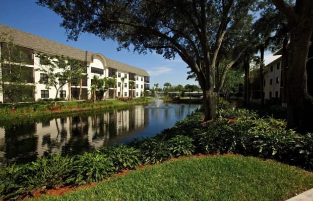 Outdoor view of a tranquil pond and landscaping