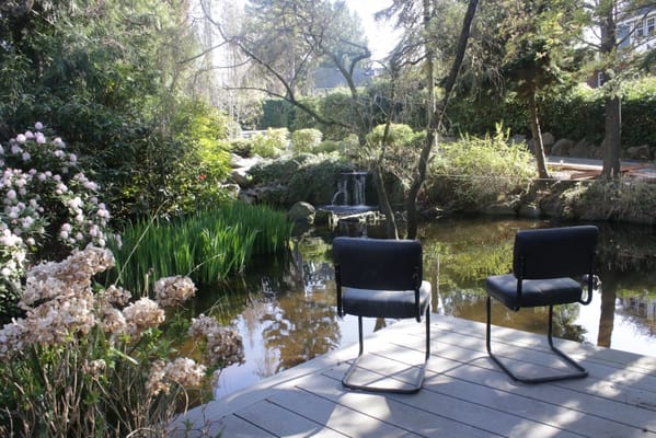 Two chairs overlooking a tranquil pond surrounded by greenery and flowers