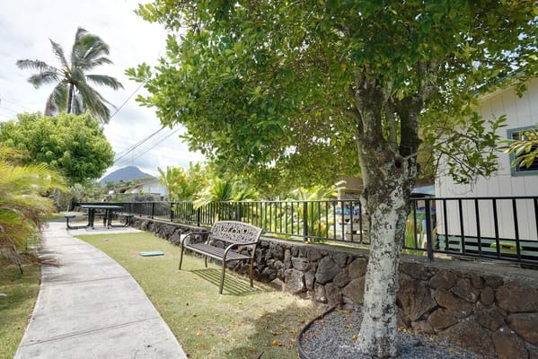 Scenic outdoor path with benches and trees