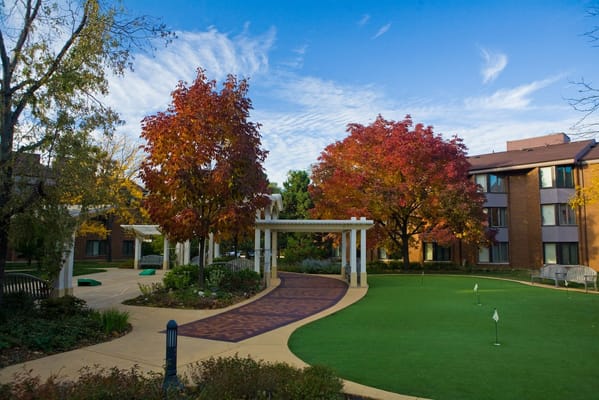 Beautifully landscaped outdoor space with colorful trees