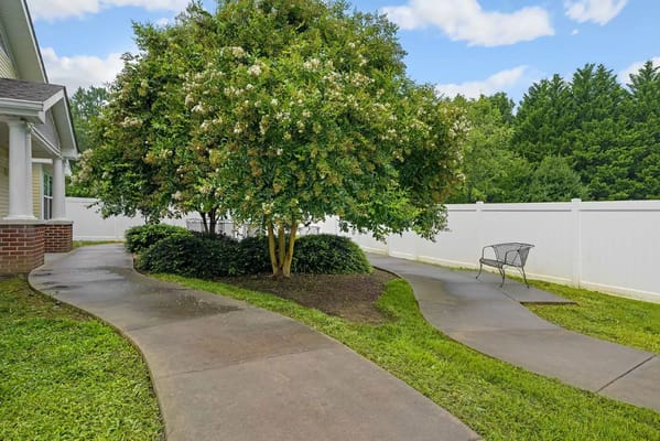 Curved concrete path leading through greenery and a flowering tree.
