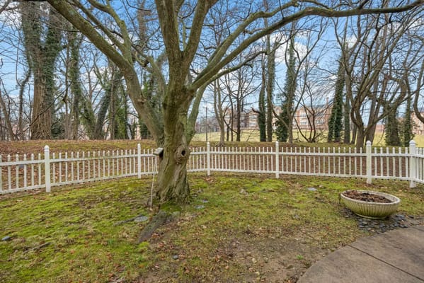 View of a fenced garden with trees and grassy area.