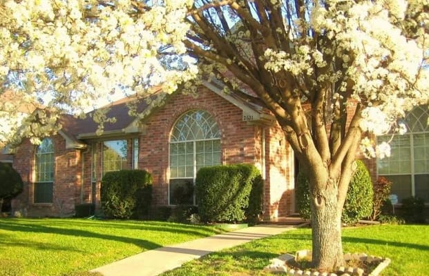 Exterior view of a brick building with flowering tree