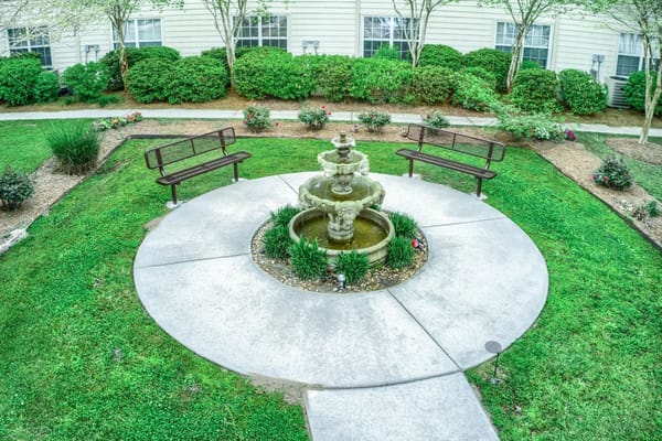 A serene garden featuring a fountain and two benches surrounded by greenery.