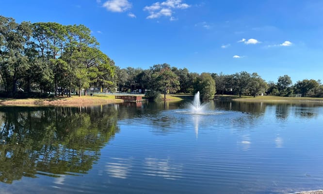 Scenic view of a pond with a fountain and trees