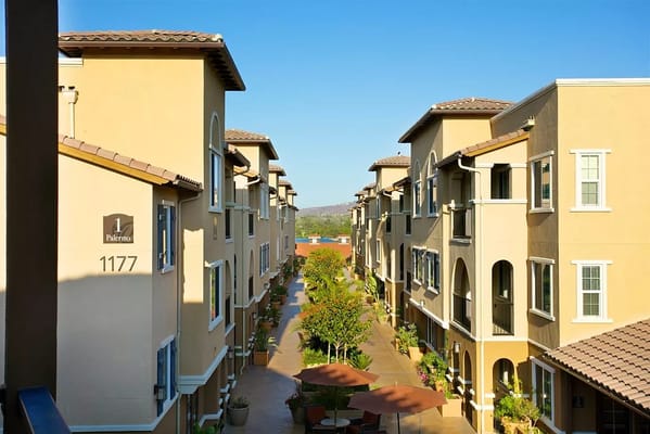 Wide view of a beautifully landscaped outdoor pathway between buildings