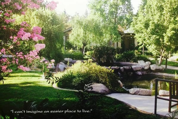 Beautiful garden with pink flowers and pond