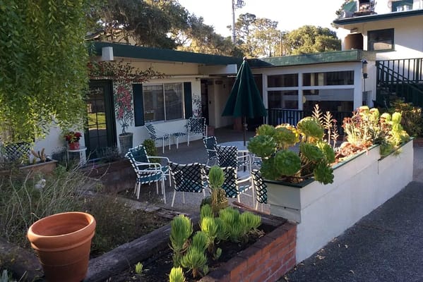 Outdoor seating area with plants and landscaping
