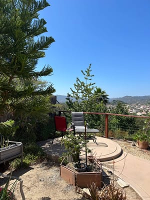 Outdoor seating area with chairs and plants