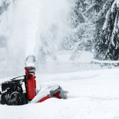 Comfort Keepers Home Care – Rochester