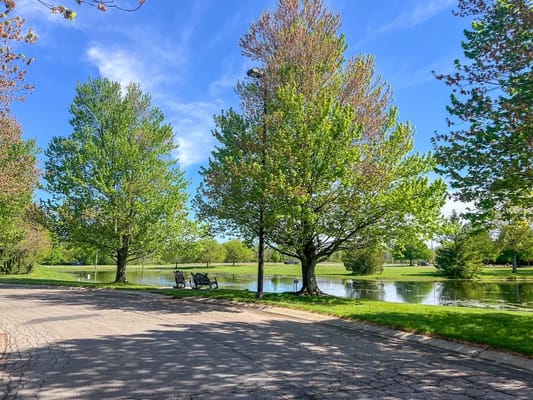 Park with trees and benches by a pond