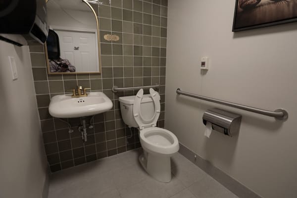 Accessible bathroom featuring a sink and toilet.