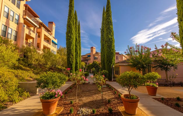 Pathway leading through landscaped gardens