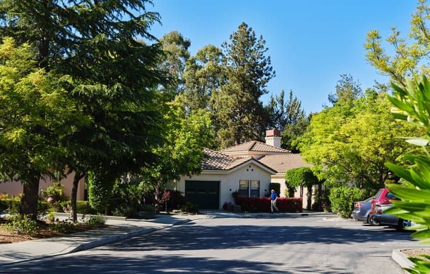 Exterior view of the facility surrounded by trees