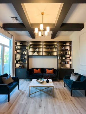 Stylish lounge area with dark furniture and bookshelves