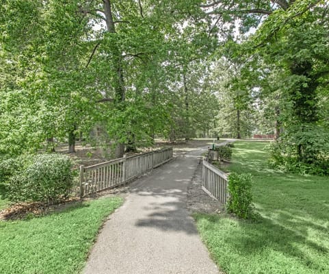 Pathway in a lush green garden area