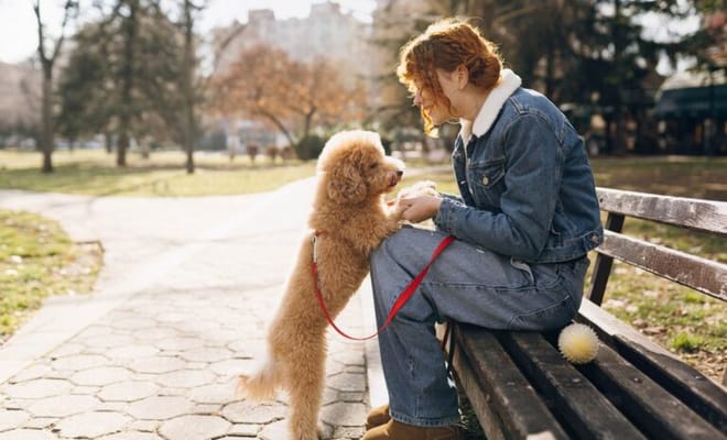 Legacy at Imperial Village