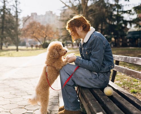 Legacy at Imperial Village