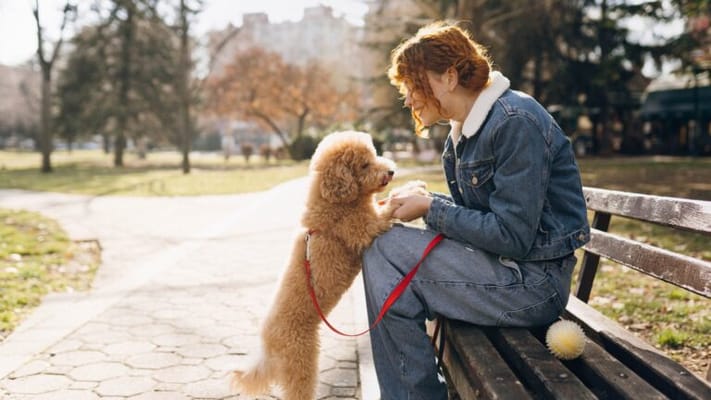 Legacy at Imperial Village