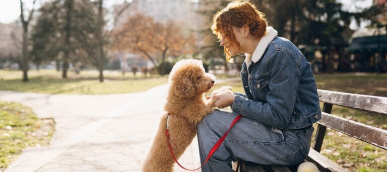 Legacy at Imperial Village