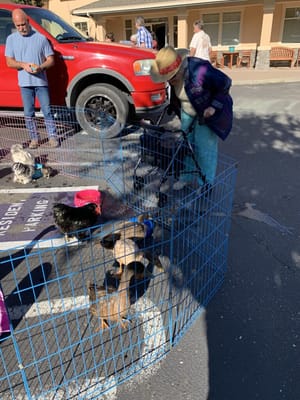 The Stratford At Beyer Park