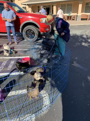Resident interacting with pets in an outdoor space