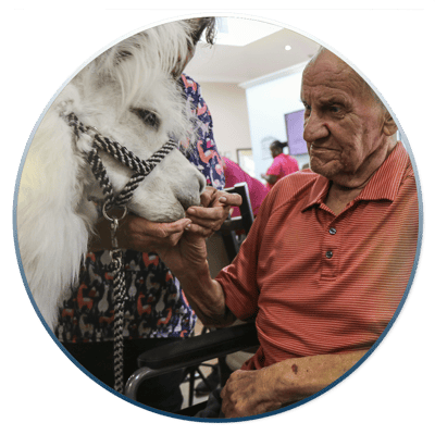 Resident interacting with a therapy animal in a communal space