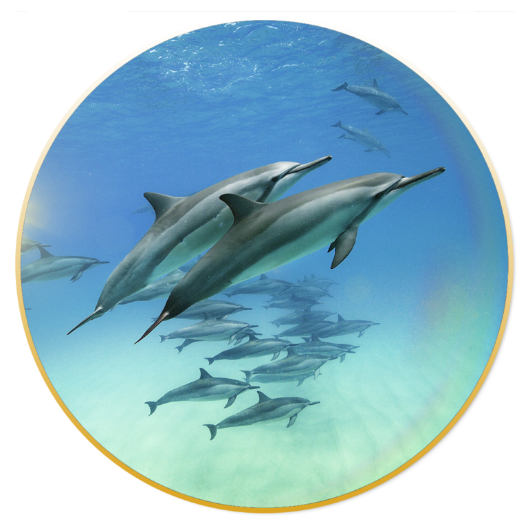 A Banyan Residence Assisted Living Resort – Oxford