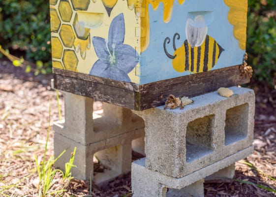 Colorful beehive in an outdoor garden area