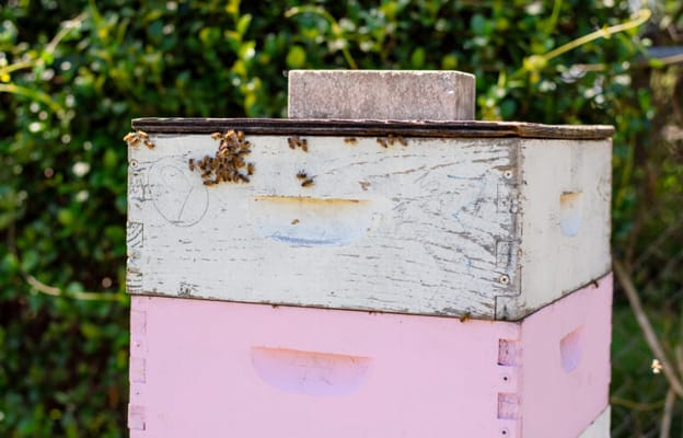 Westminster Suncoast