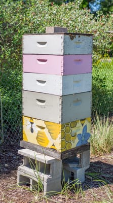 Westminster Suncoast