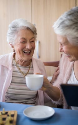 Two elderly women enjoying tea and laughter