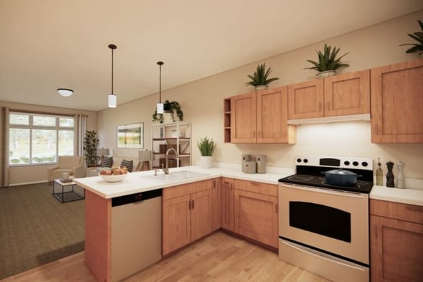 Modern kitchen and living area in a senior apartment