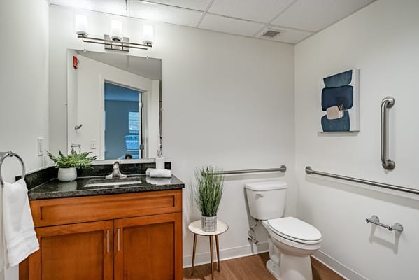 Modern bathroom featuring a sink, toilet, and decorative plant.