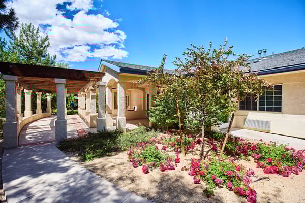 Outdoor space with flowers and a walkway