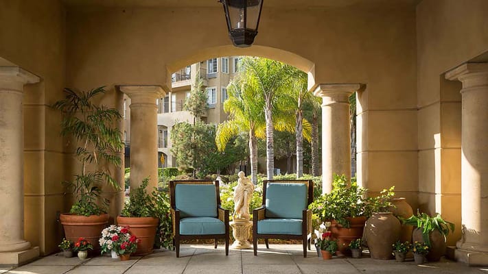Seating area with two blue chairs and decorative plants in pots