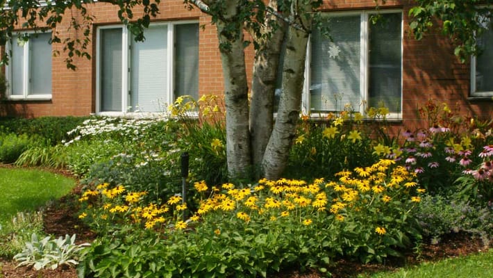 Colorful flower garden outside a residential building