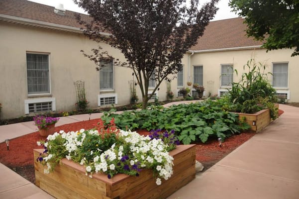 Lush garden with colorful flowers and vegetables in raised beds.