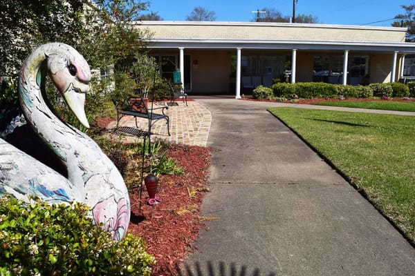 Pathway leading to a senior living facility with garden decor
