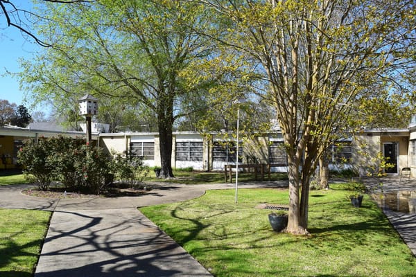 A sunny outdoor garden area with walking paths