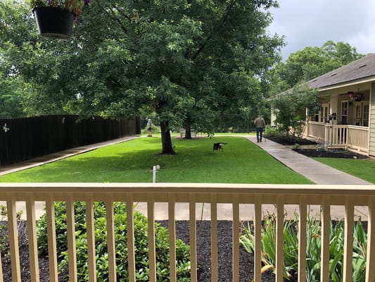 A green garden with a large tree and walking paths, two people in the background, and a dog in the foreground.
