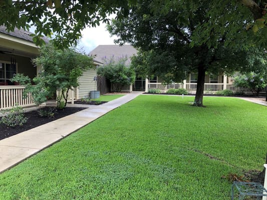 Lush green garden pathway at Mercy House