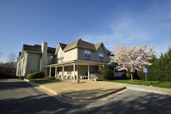Exterior of Paradise Assisted Living with a cherry blossom tree